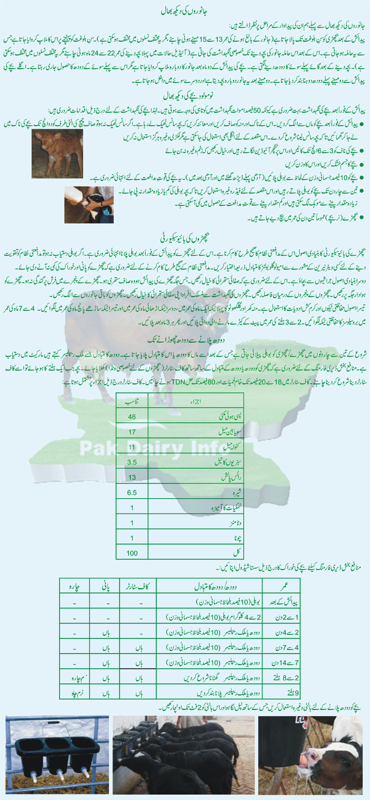 dairy farming in pakistan in urdu pdf - apps